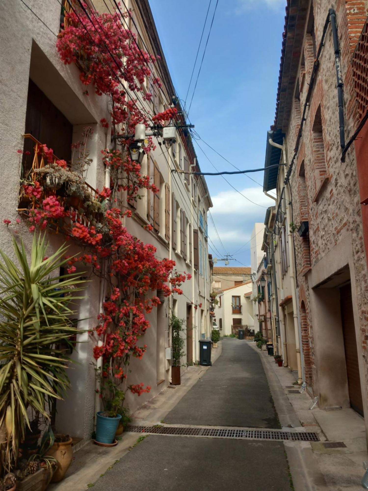Maison De L'Esprit Catalan Argelès-sur-Mer Exterior foto